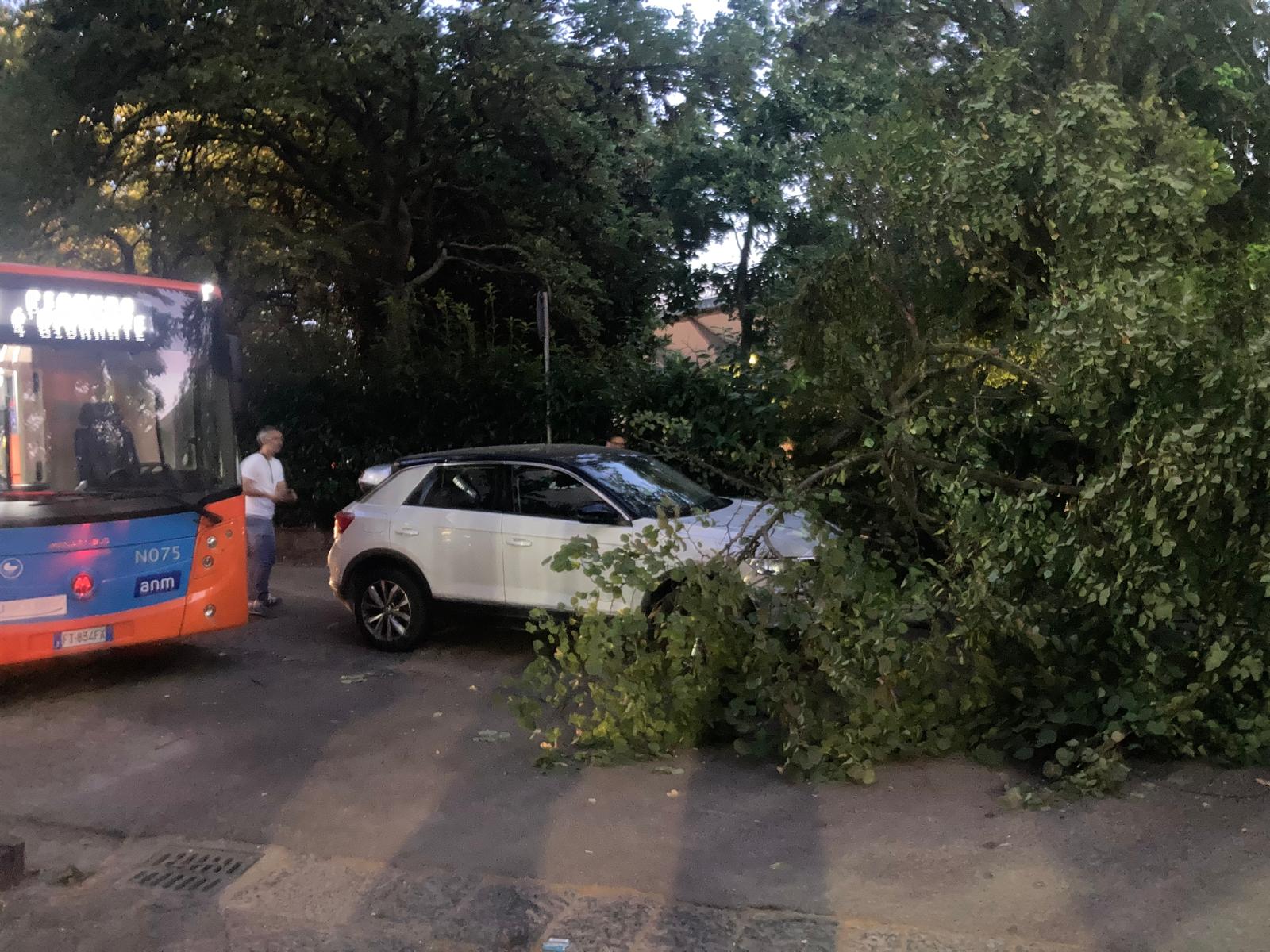 Cade ramo, tragedia sfiorata al Vomero