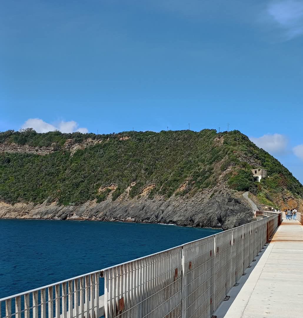 Vivara e Procida sulle rotte del Mediterraneo