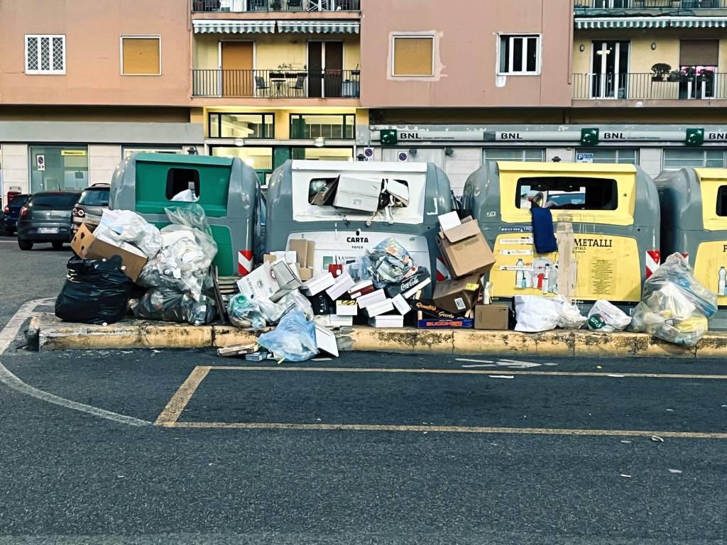 Vomero, emergenza blatte