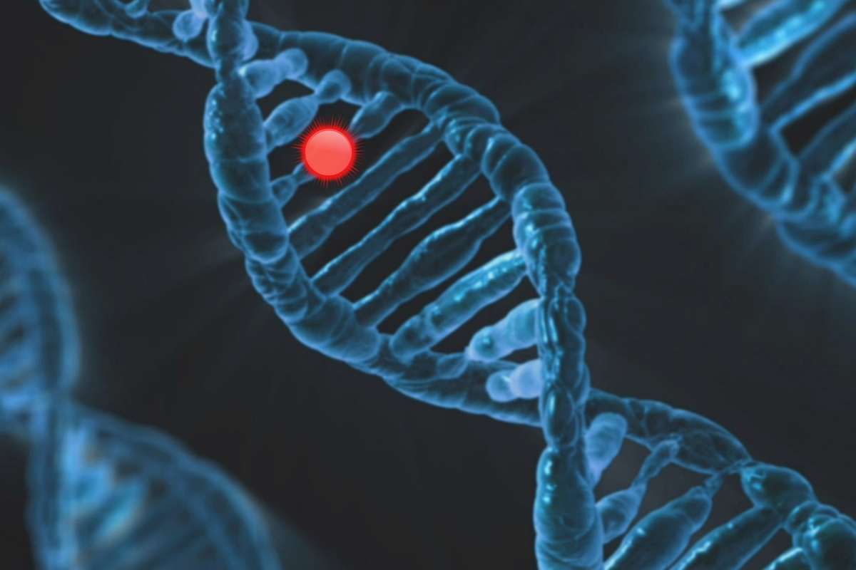 Scoperto il gene legato al più aggressivo tumore dei bambini