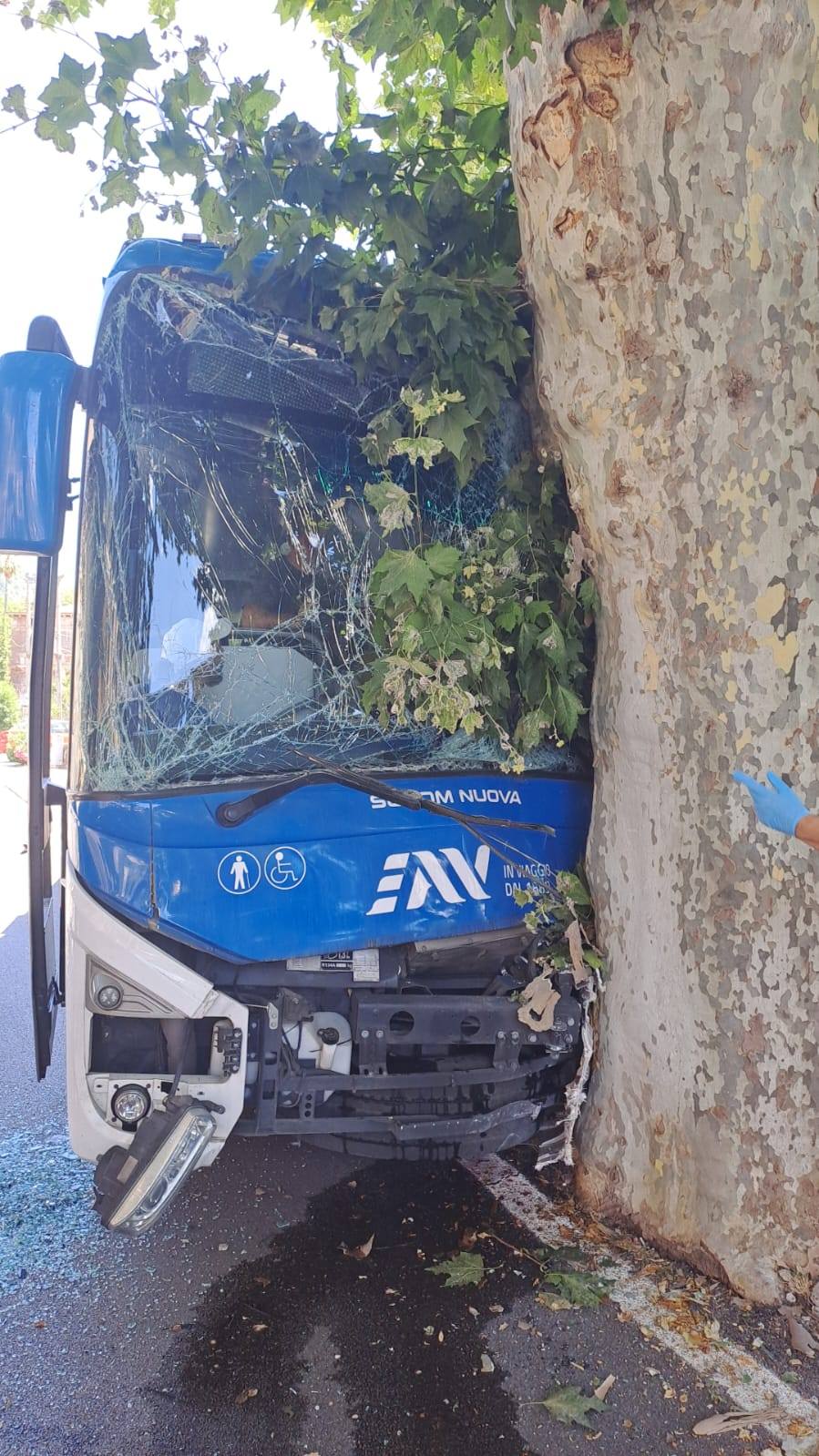 Bus si schianta contro albero, autista ferito