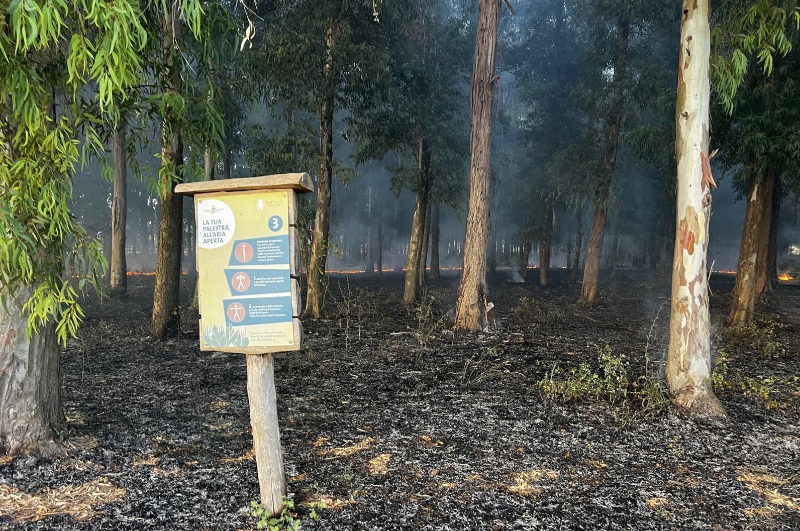 Incendio nel bosco della Reggia di Carditello