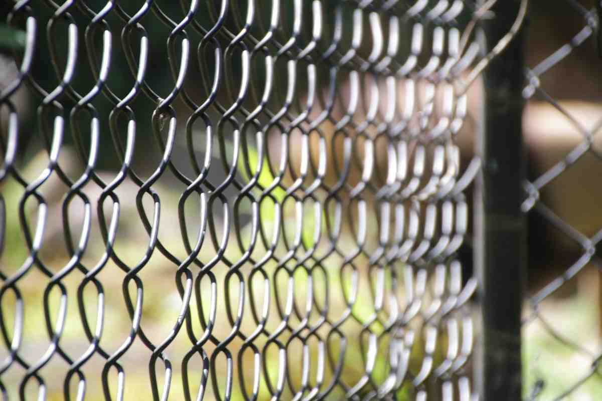 Cane segregato in gabbia, salvato