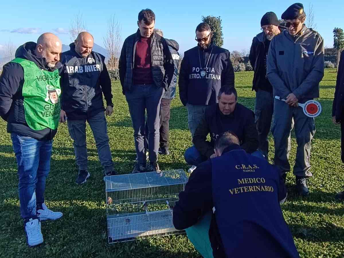 Detenzione illegale di animali, scatta il blitz