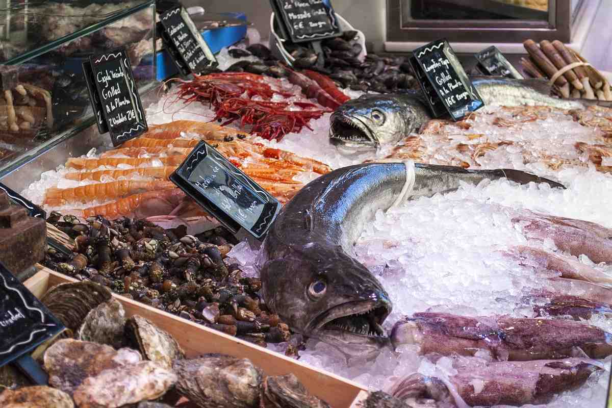 Epatite A, calo dei contagi, ma settore ittico in crisi