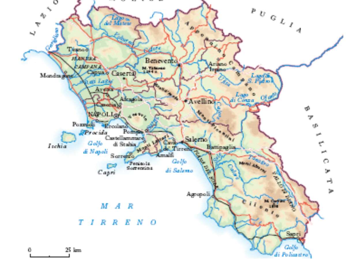 Industria manifatturiera, Campania Leader