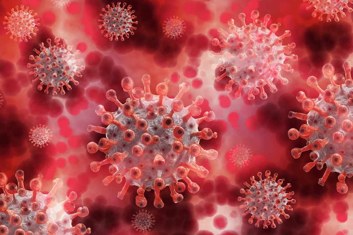 Hantavirus, tampone negativo per il marittimo napoletano