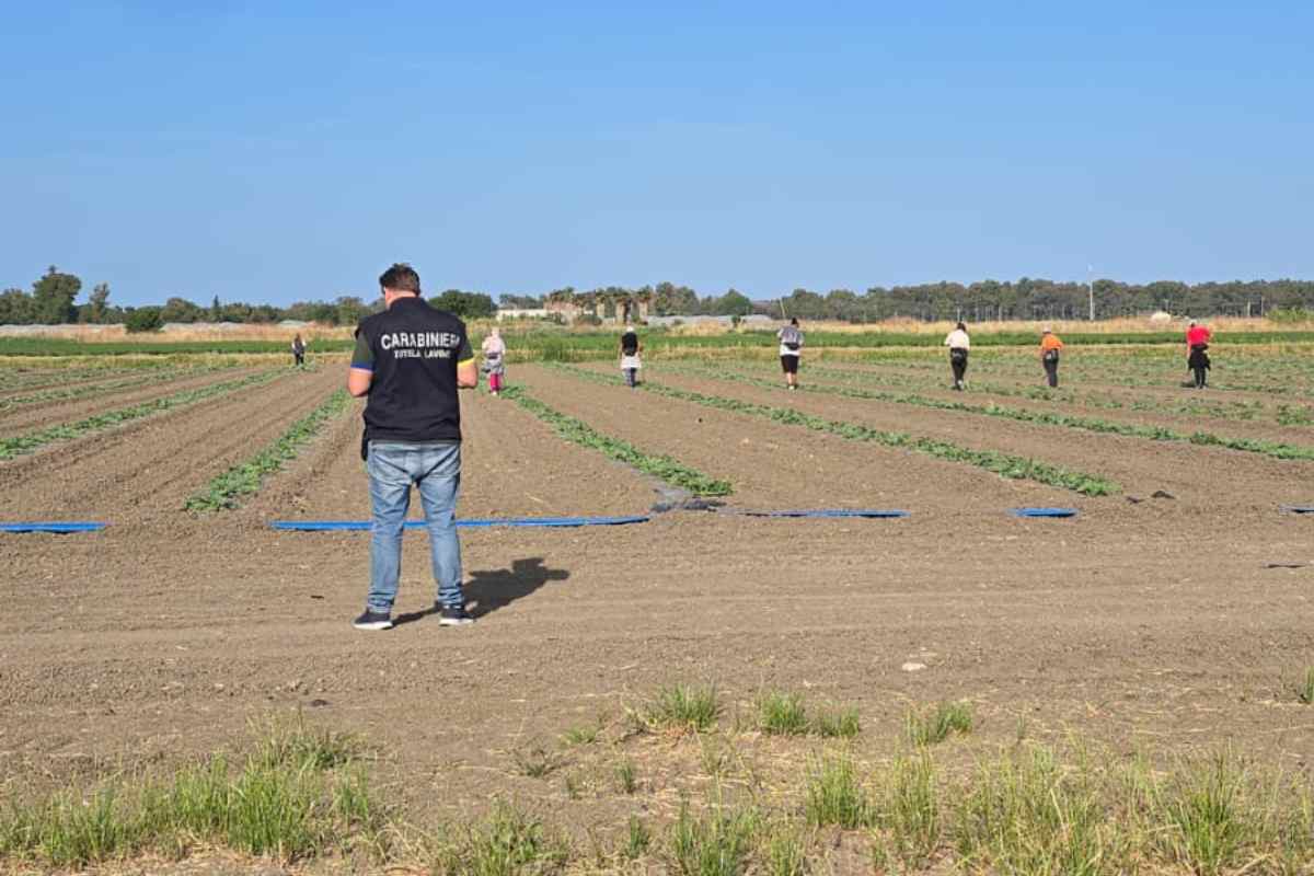 Sicurezza sul lavoro, irregolarità nella piana del Sele