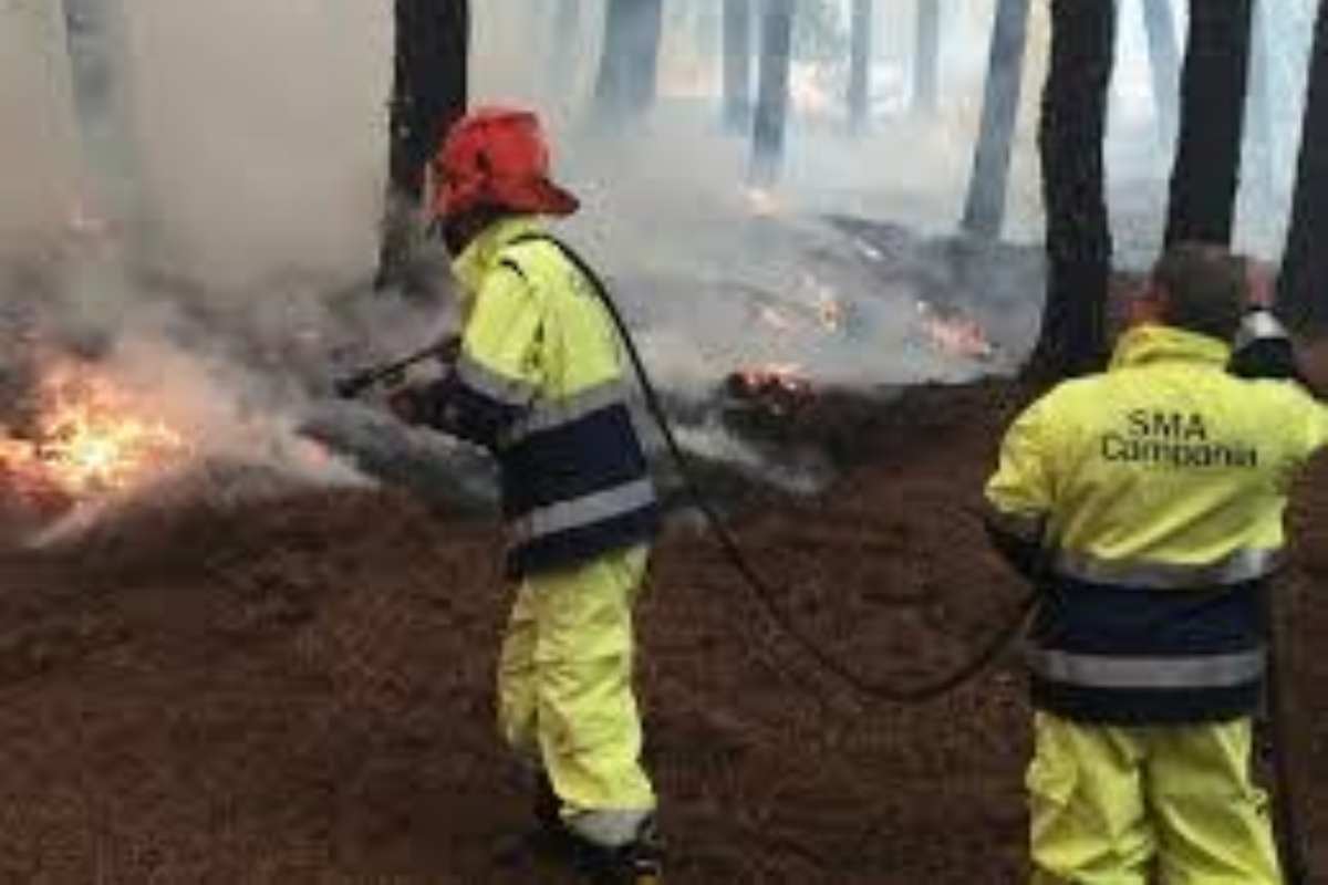 Incendi boschivi, 48 assunzioni alla Sma Campania