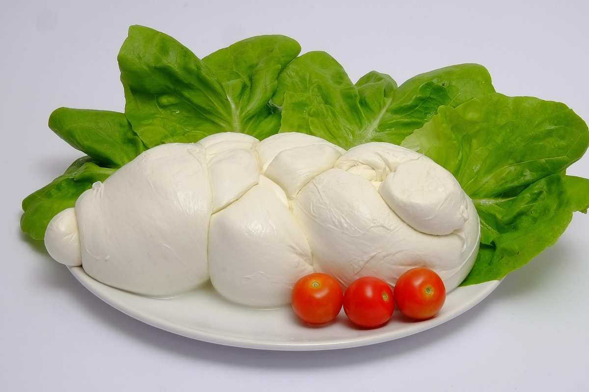 Consorzio Mozzarella, caseifici chiusi per blocco autotrasporto