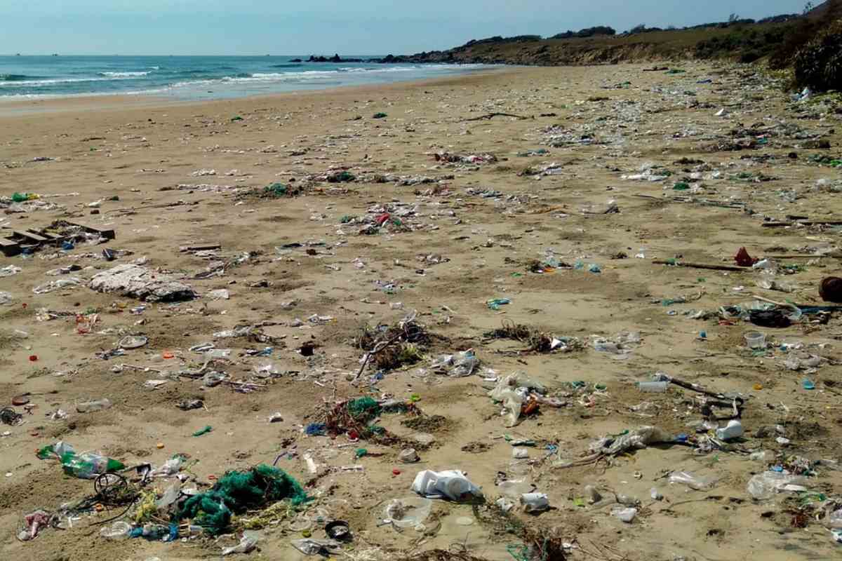 Punta Campanella, rimossa una tonnellata di rifiuti spiaggiati